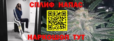 мдпв Обь