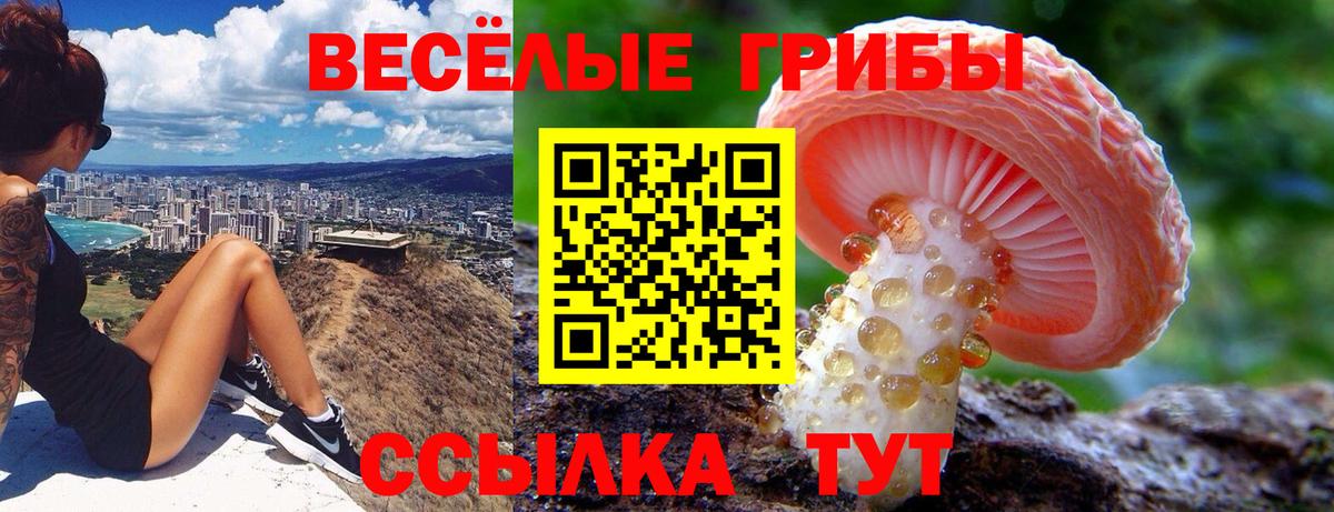 Галлюциногенные грибы Cubensis Рузаевка